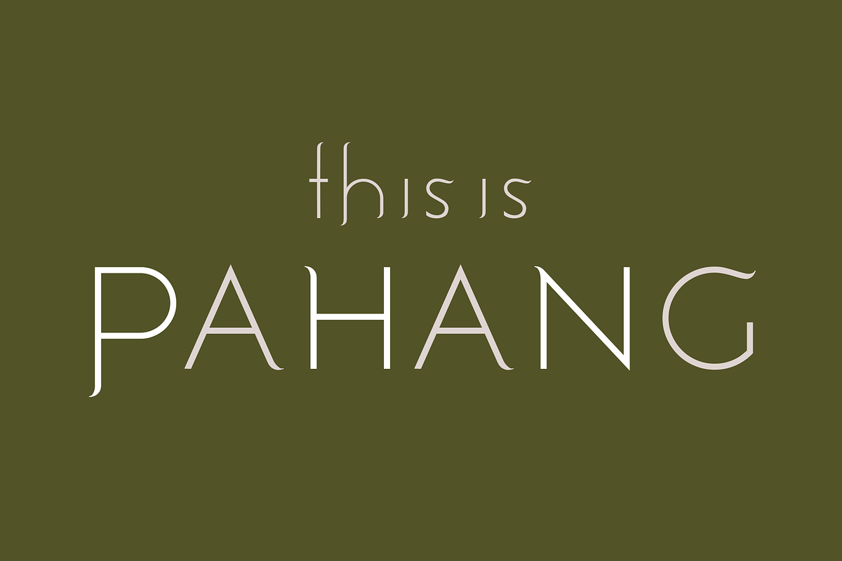 Pahang. Sleek serif/sans font, a Sans Serif Font by LostandFoundry (Photo 1 of 9)