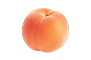 All Fruits Bundle Master Collection, a Food & Drink Photo by FlyeredTemplate (Thumbnail 101 of 130)