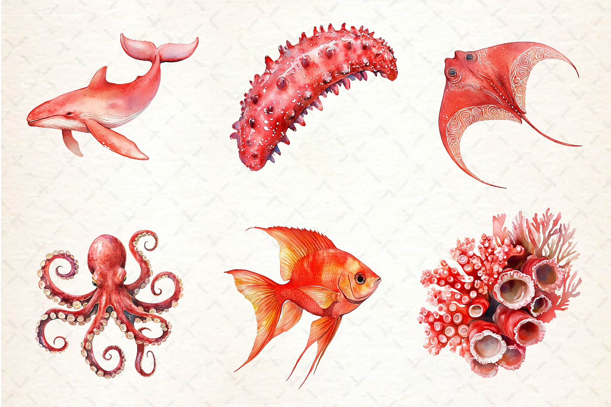 Red Ocean Animals Clipart, an Illustration by Dream Creation (Photo 5 of 6)