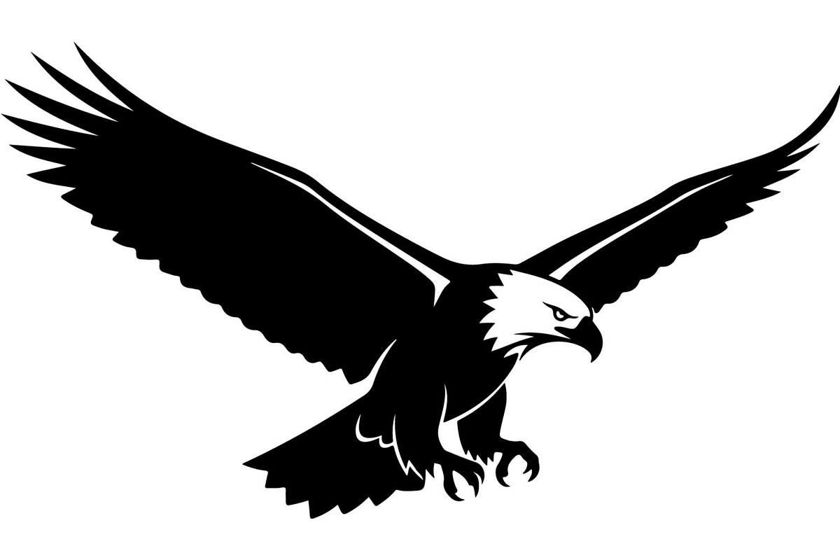 Bird Silhouettes Flying Sideways, an Animal Illustration by Designer_Momina (Photo 4 of 21)
