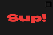 Bernoru Sans Font Family, a Sans Serif Font by grahampaterson (Thumbnail 6 of 14)