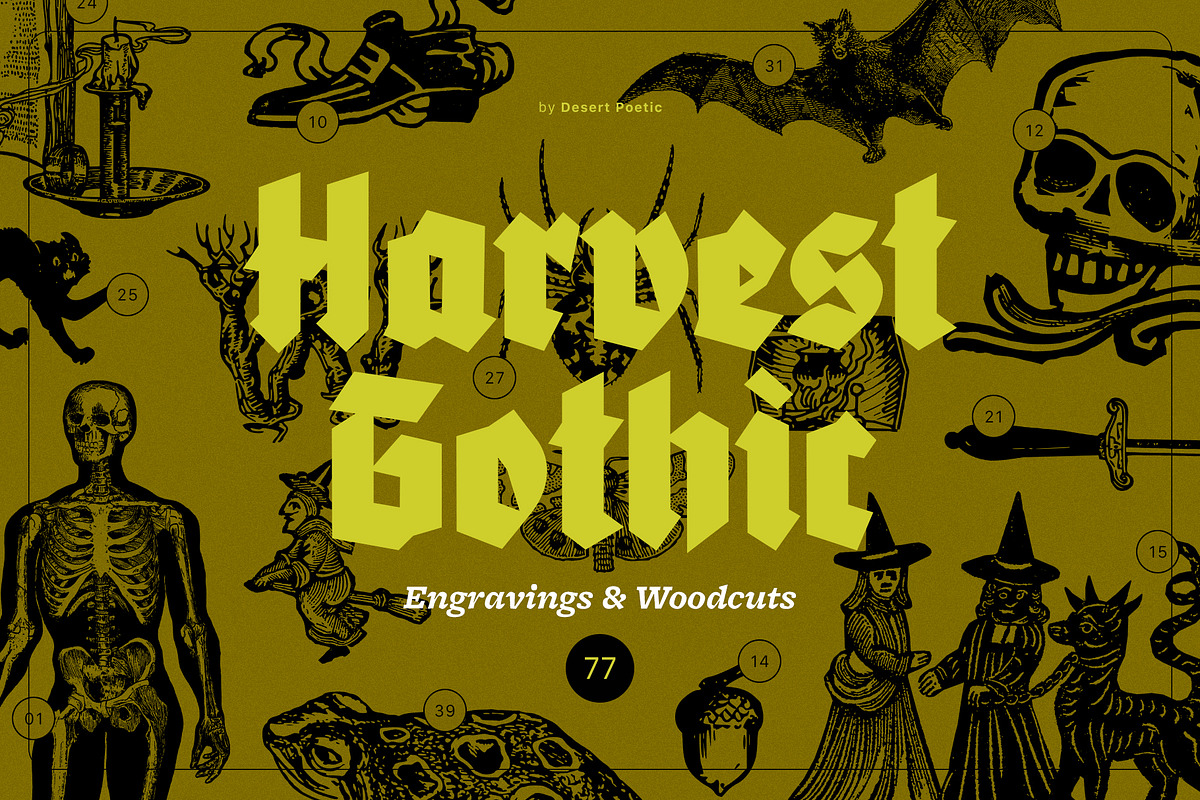 HARVEST GOTHIC Illustrations, a Seasonal Illustration by Desert Poetic (Photo 1 of 10)