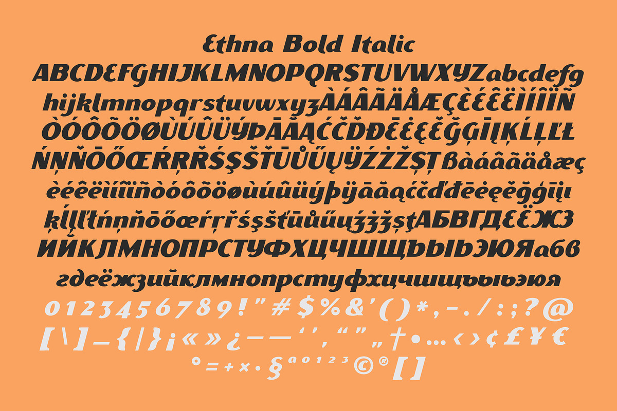 Ethna Italic, a Sans Serif Font by NREY (Photo 4 of 5)