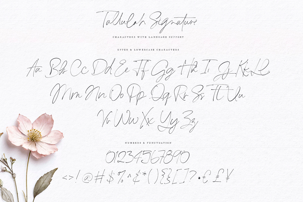 Tallulah Signature Script, a Script Font by Callie Rian & Co. (Photo 13 of 17)