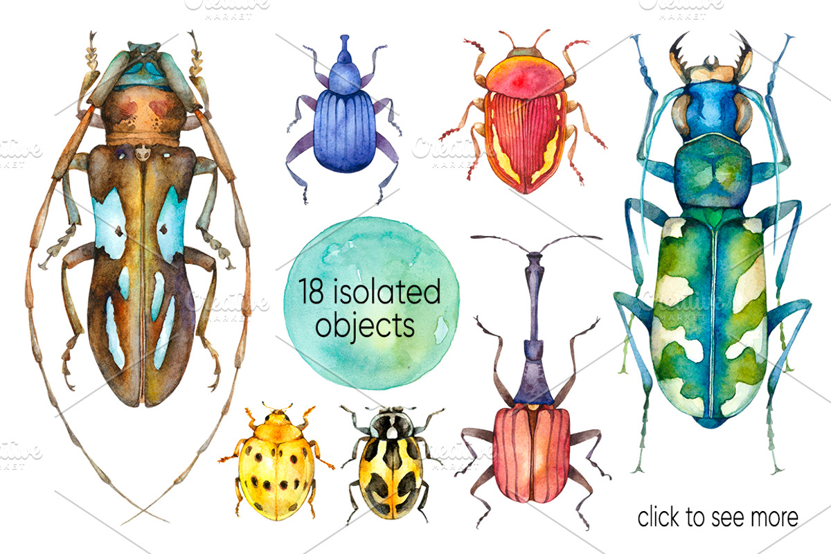 Beetles Watercolor collection, a Graphic by Green_leaf_17 (Photo 2 of 5)
