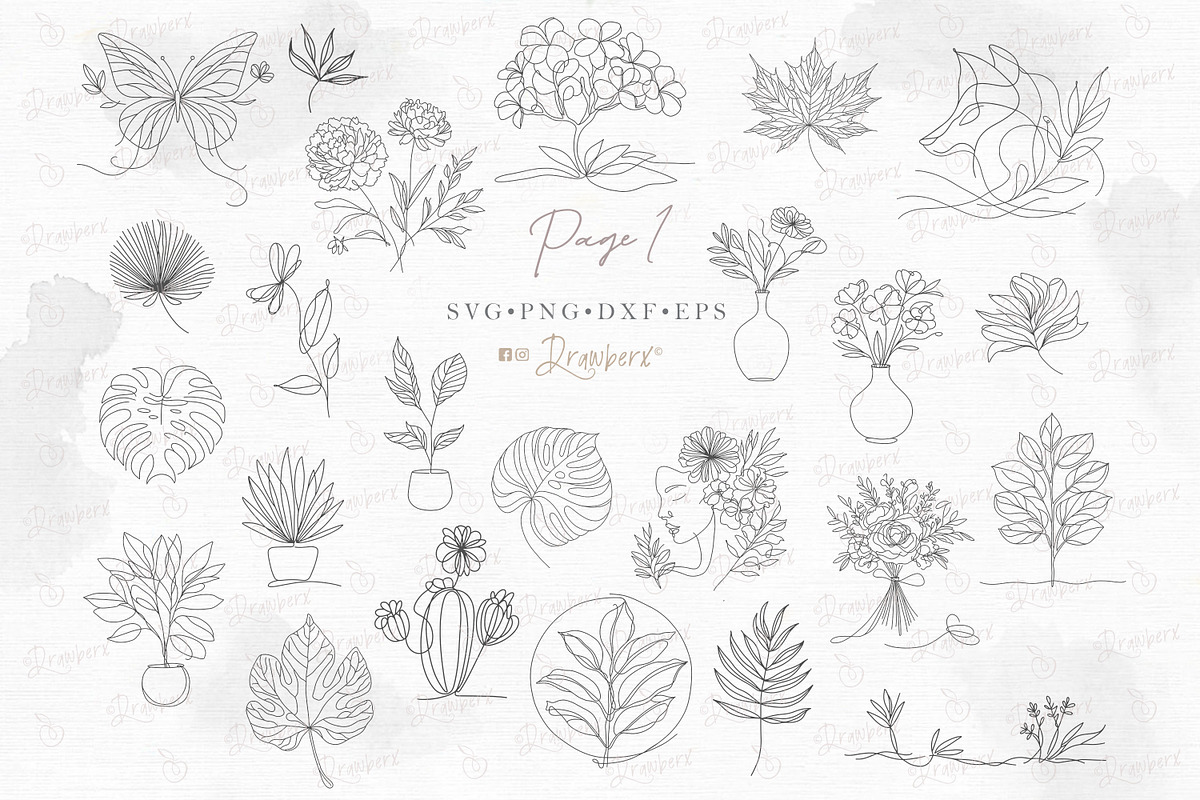 Floral Line Art illustration svg 150, an Illustration by Drawberx (Photo 3 of 13)