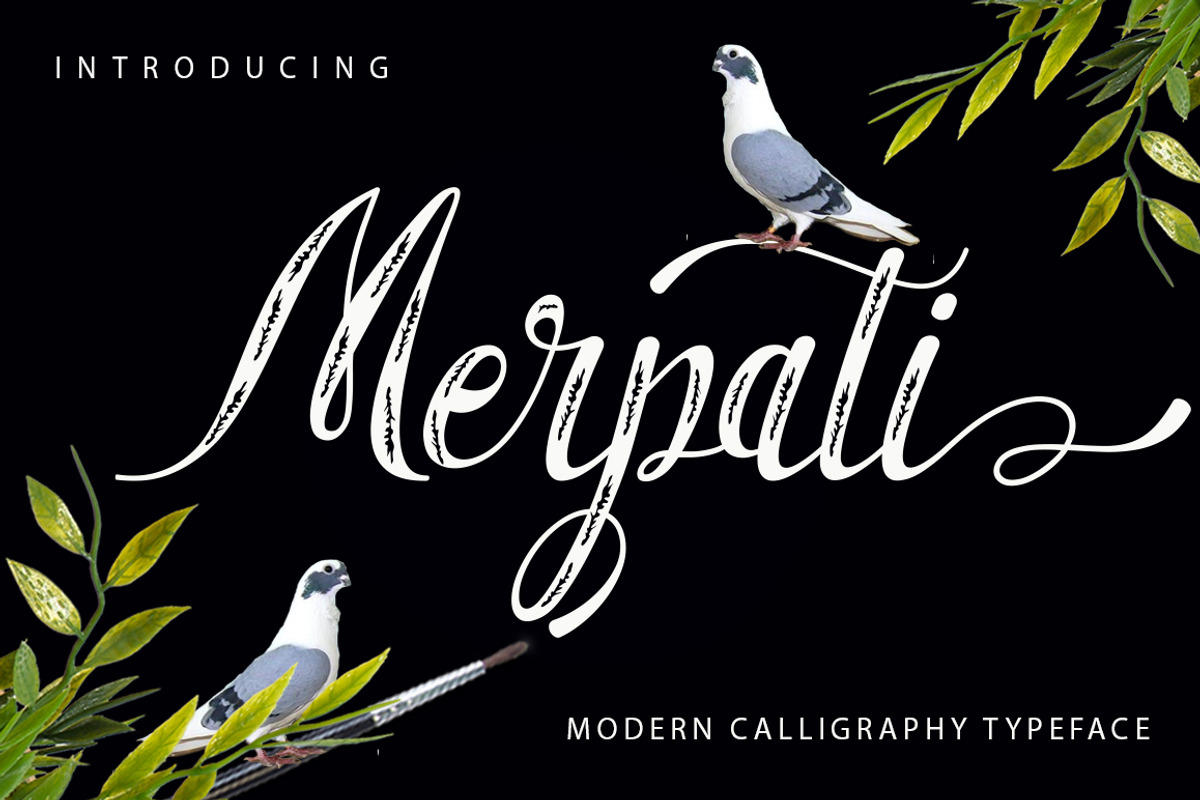 BIG BUNDLE FON SCRIPT, a Font by Jhoen (Photo 12 of 19)