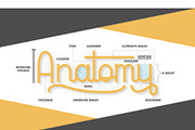 Luminousity - Modern Script, a Script Font by Inspiratype (Thumbnail 4 of 10)
