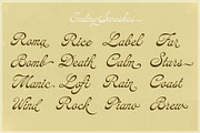 Jardim Botânico, a Script Font by Misprinted Type (Thumbnail 9 of 9)