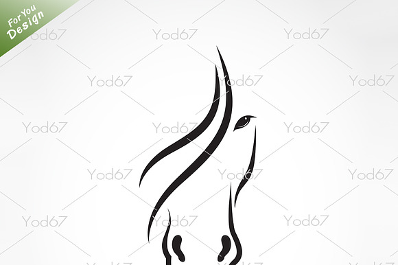 Vector Of Horse Face. Animal.