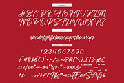 Letterking Quality Bold Handwritten, a Script Font by stylishtype.co (Thumbnail 18 of 20)