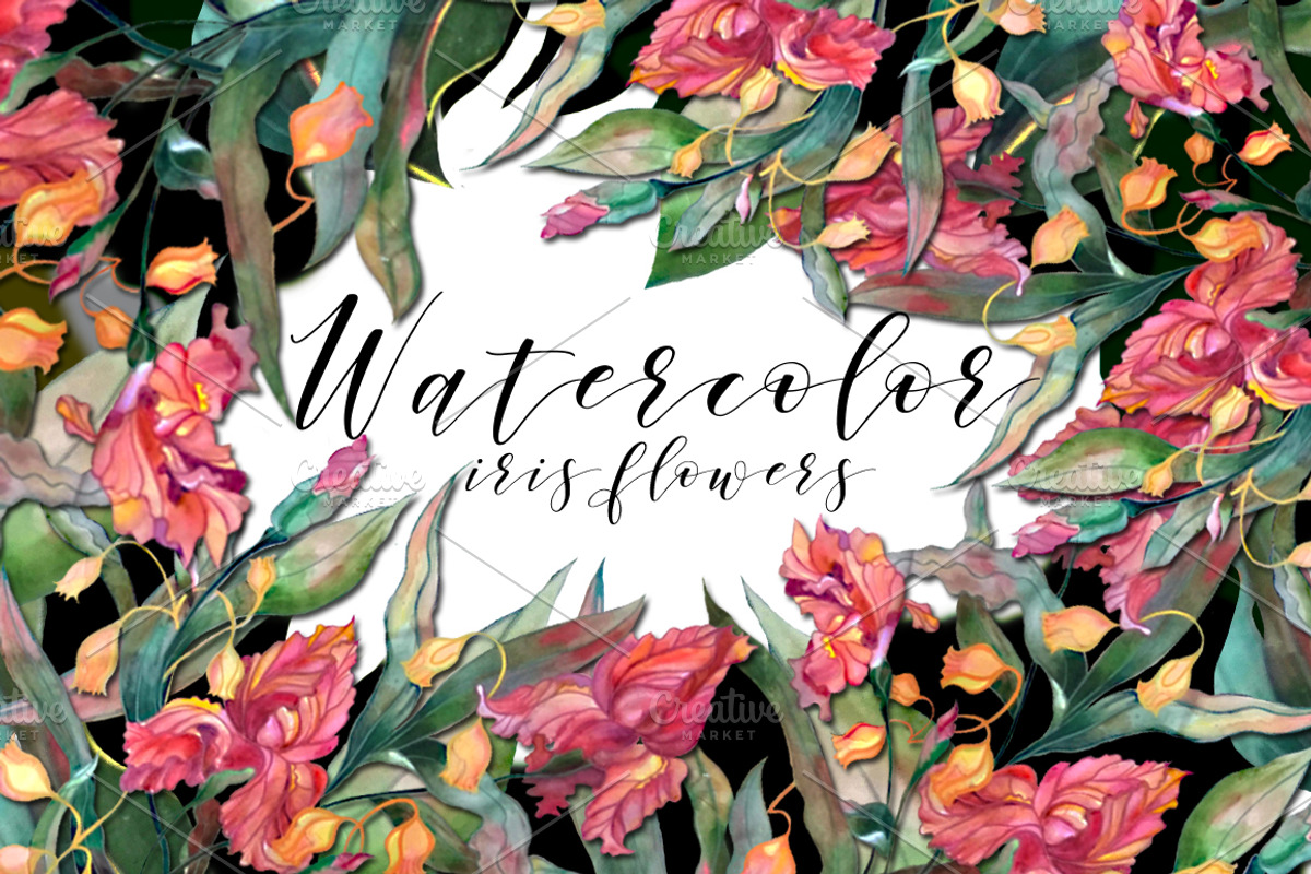 Watercolor iris flowers set., an Illustration by redstudio (Photo 1 of 10)