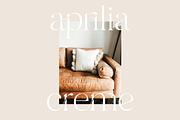 Branch - Modern Ligature Serif, a Serif Font by Sans & Sons (Thumbnail 3 of 11)