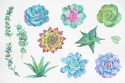 Hand drawn Succulents Clipart, an Illustration by Artemisia_Art (Thumbnail 2 of 6)
