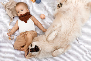 Beautiful happy baby and cute dog playing with toys while lying, a Person Photo by Sonjachni
