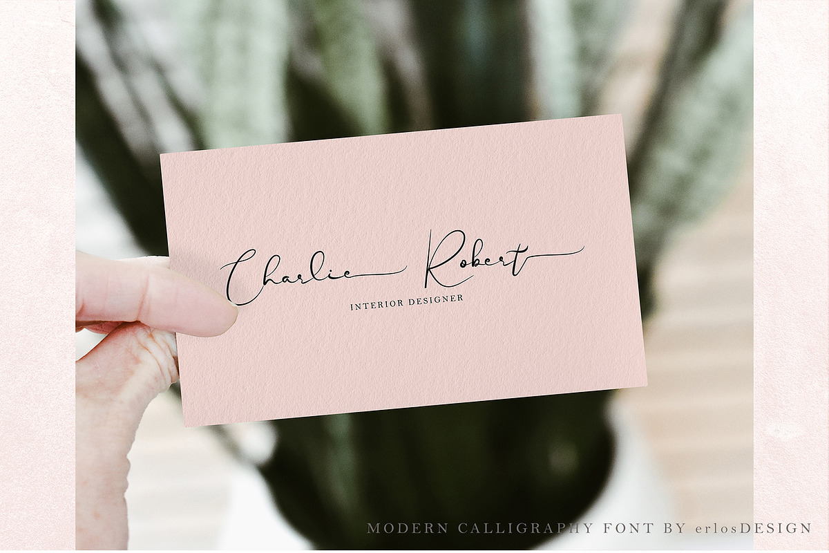 Blanche - Signature Font, a Script Font by erlosDESIGN (Photo 7 of 15)