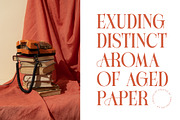 Michela Azorha Display Serif, a Serif Font by timelesstype.co (Thumbnail 11 of 20)
