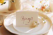 The Fioresque Handwritten Font, a Script Font by Calamar Studio (Thumbnail 11 of 19)