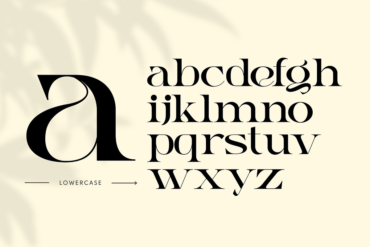 Gauker - Modern Ligatures Serif, a Serif Font by Nirmana Visual (Photo 6 of 12)