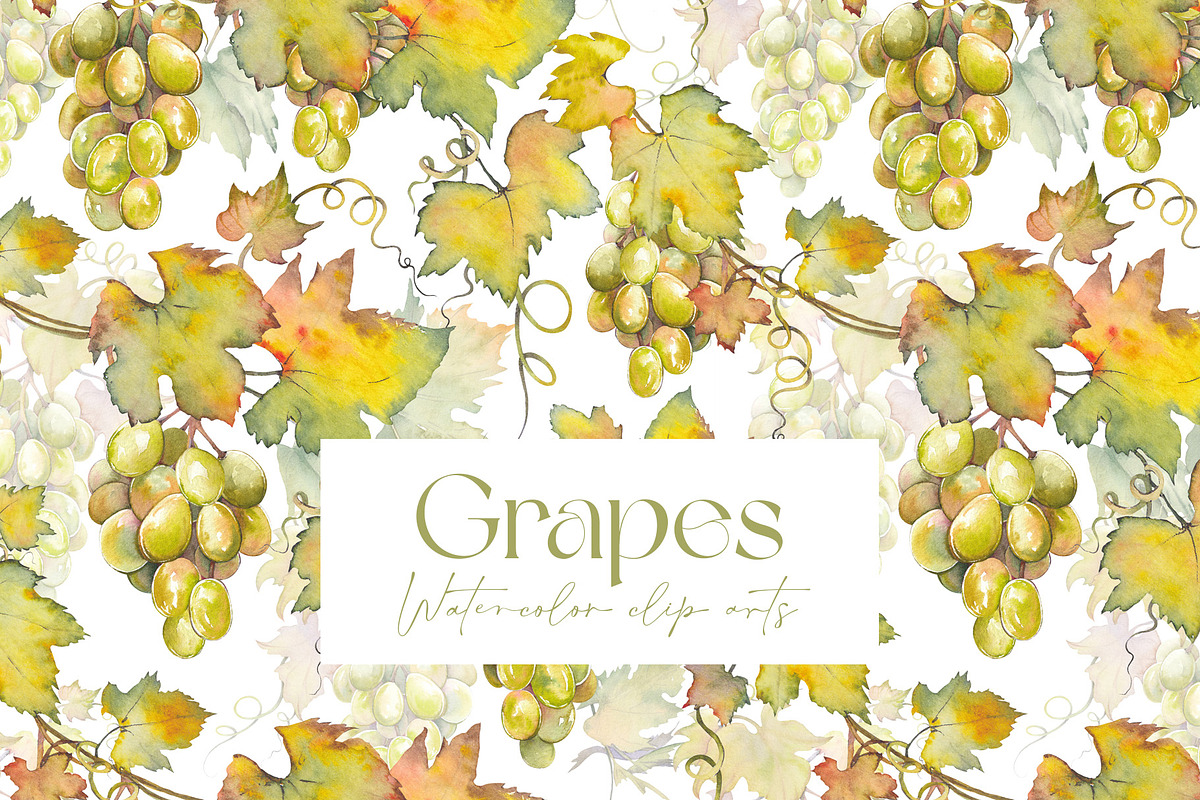 Watercolor Grapes Clipart Set, a Food Illustration by Jeanna Draw (Photo 1 of 12)