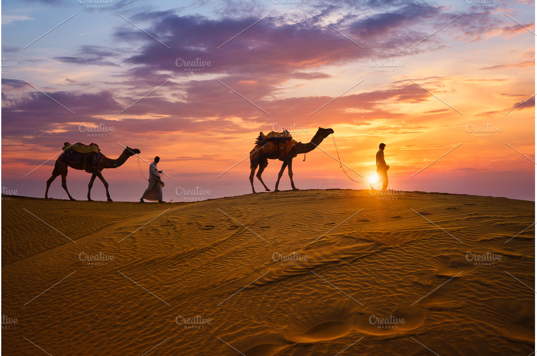 Indian cameleers camel drivers camel, an Animal Photo by f9photos