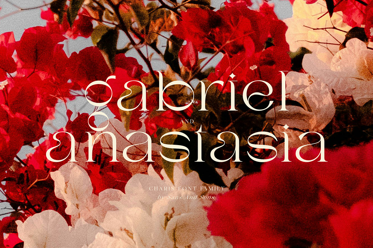 SNS Charis Font Family, a Serif Font by Sans & Sons (Photo 3 of 10)