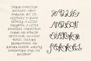 Garland Hand Drawn Ornamental Font, a Handwritten Font by Madeline ODonoghue Design (Thumbnail 6 of 9)