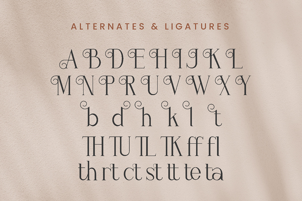 Blatherskite, a Serif Font by Rishsketch (Photo 11 of 12)