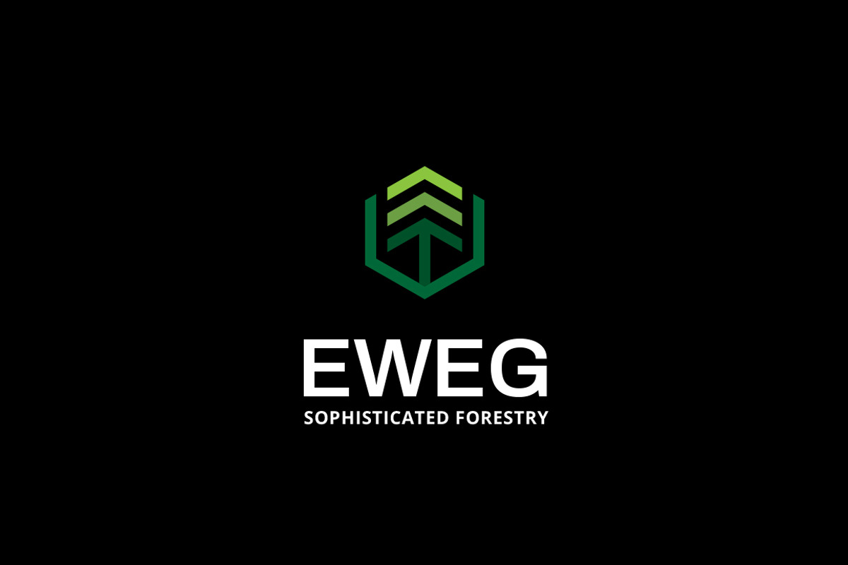 Eweg Fir Tree Wood Forest Logo, a Branding & Logo Template by Tovarkovdesign (Photo 5 of 6)