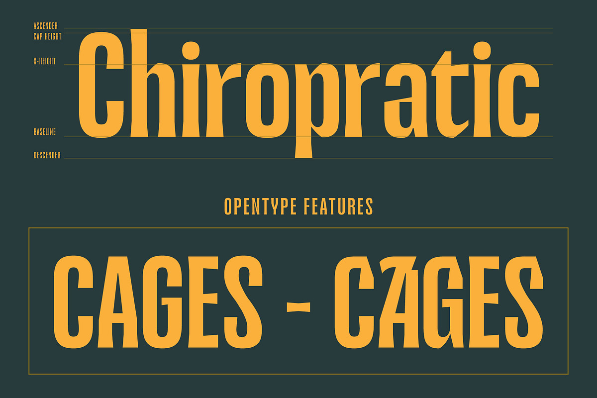 Jacoma, a Serif Font by Adam Fathony (Photo 6 of 17)