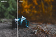 Fall Presets 2019 - Lightroom Preset, an Action Add-On by Maple Visuals (Thumbnail 5 of 10)