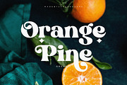 Grande - Retro Font, a Serif Font by Sans & Sons (Thumbnail 4 of 11)