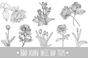 Roses and Tulips Set, an Illustration by Sunset&Sea Design (Thumbnail 1 of 5)