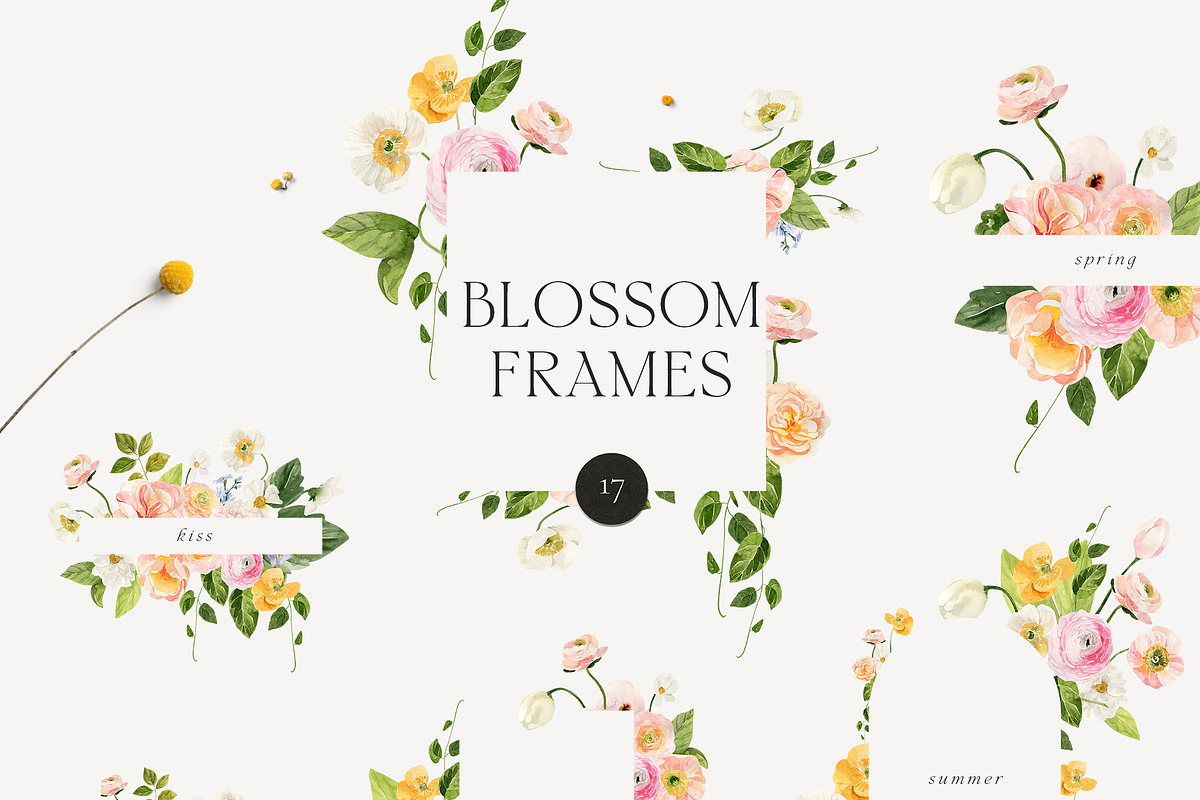 BLOSSOM Spring Watercolor Flowers, a Decorative Illustration by Lana Elanor (Photo 5 of 12)