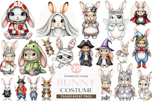 Cute Bunny in Costume PNG, an Illustration by SinaCreation