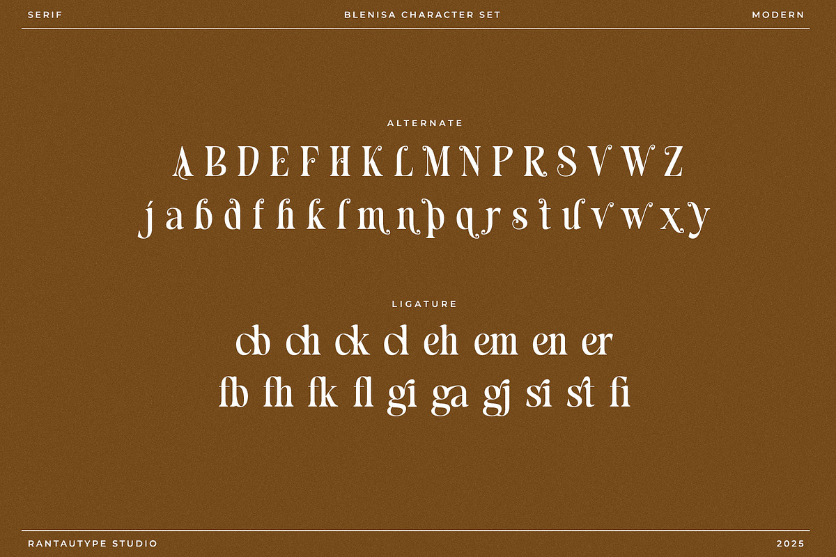 Blenisa Modern Beautiful Font, a Serif Font by RantautypeStudio (Photo 17 of 17)