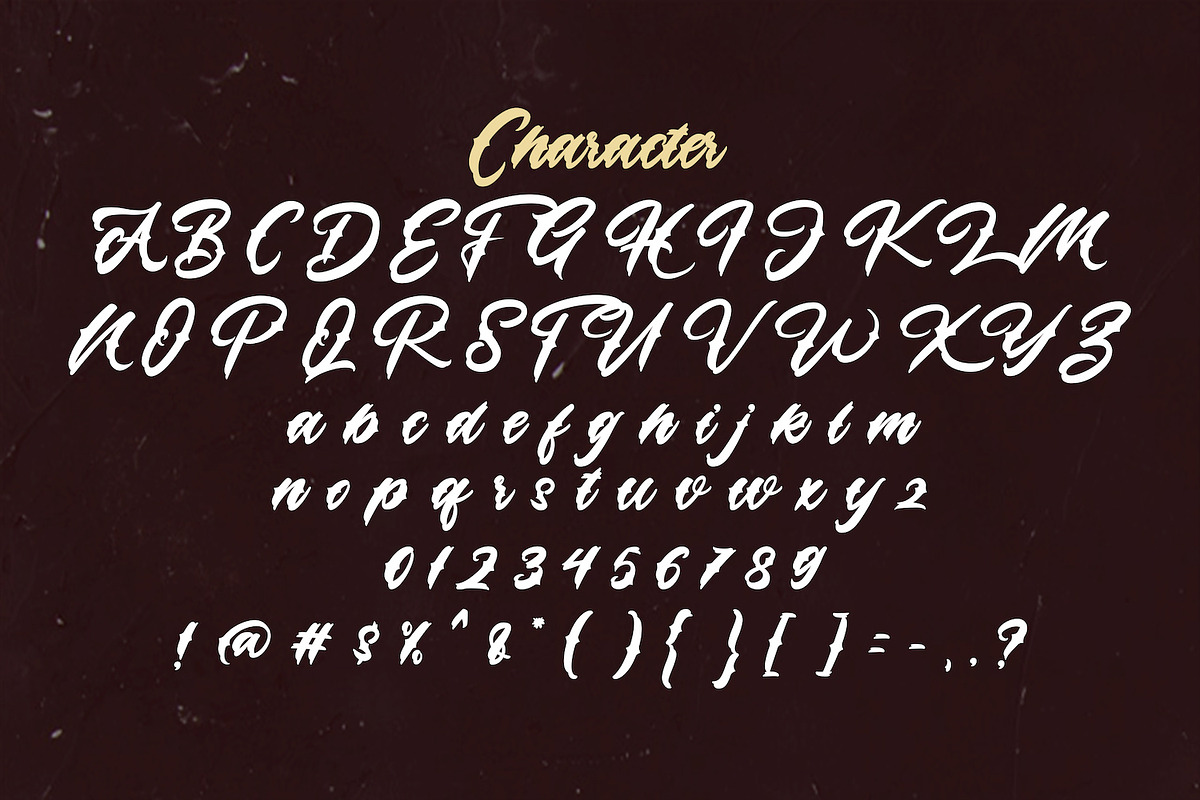 Lazyday - Bold Script Font, a Script Font by StringLabs (Photo 12 of 13)