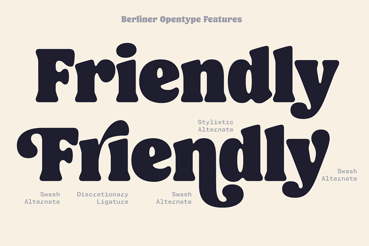 Berliner Typeface, a Serif Font by Fenotype (Photo 14 of 15)
