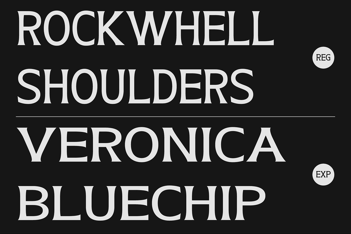 Eutron Font, a Serif Font by Rhtype (Photo 5 of 6)
