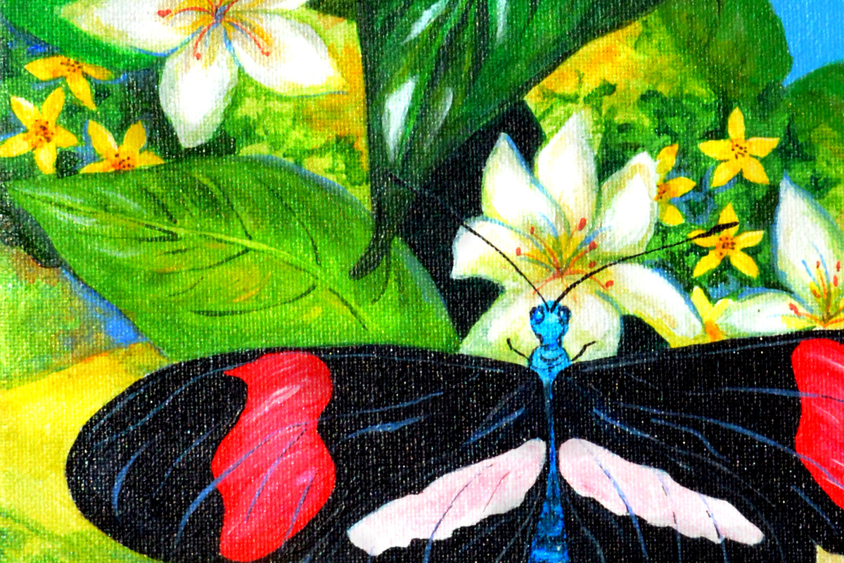 Tropical Butterfly Hand Painted Art, an Animal Illustration by Sharon Schwalbe (Photo 1 of 2)