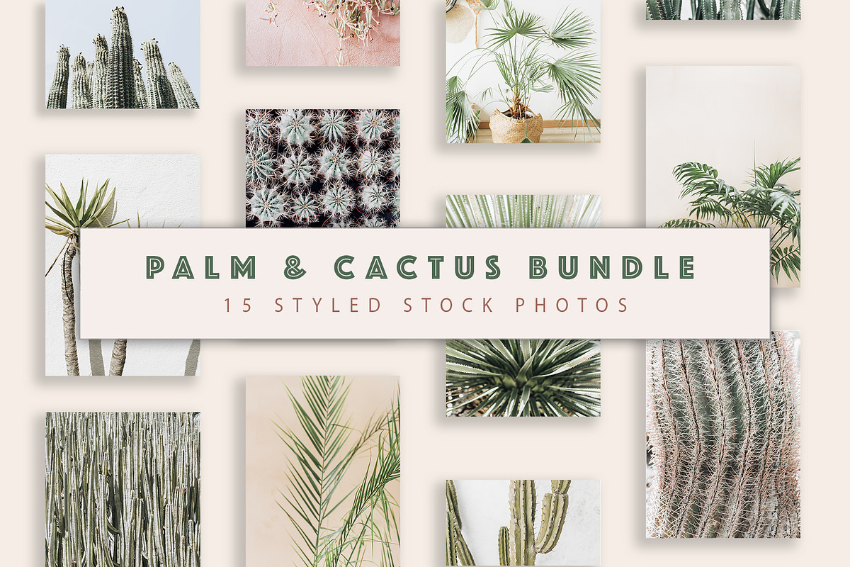 Palm & Cactus Bundle, a Nature Photo by Floral Deco (Photo 1 of 6)
