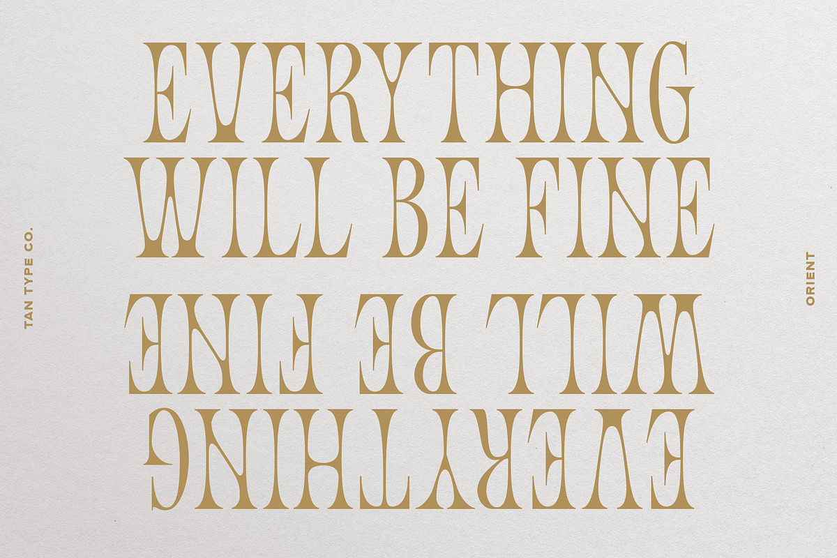 TAN - ORIENT, a Serif Font by TanType (Photo 3 of 11)
