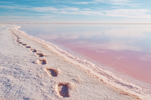Aerial view of pink salt lake and dirt road, a Nature Photo by AlyaAnd