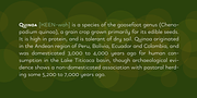 Quinoa, a Sans Serif Font by Catharsis Fonts (Thumbnail 6 of 16)