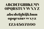 Sadila, a Serif Font by Khoir (Thumbnail 7 of 10)