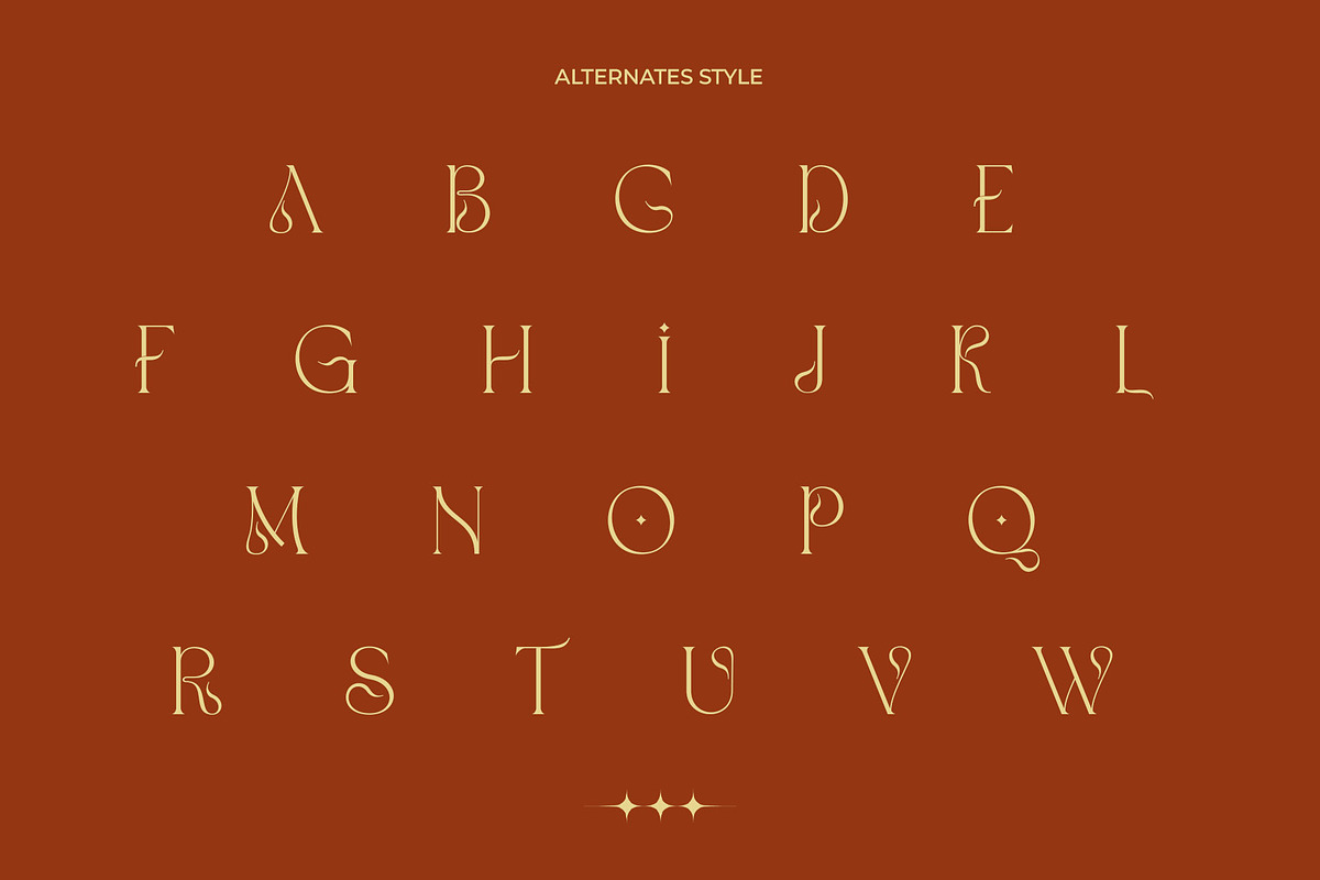 Vamos Unique Serif Typeface, a Serif Font by Alfinart (Photo 6 of 10)
