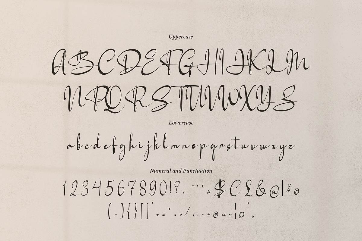 Artajliya | Handwritten Signature, a Script Font by Denustudios (Photo 13 of 15)