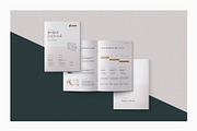 Proposal, a Brochure Template by StudioGraficso (Thumbnail 5 of 9)
