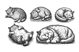 Sleeping cat engraving set vector, an Animal Illustration by AlexArt