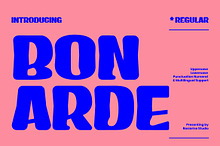 Bonarde a Sans Serif Display Font